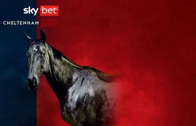 promo image